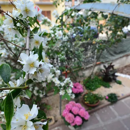 Appartement Elisabetta *