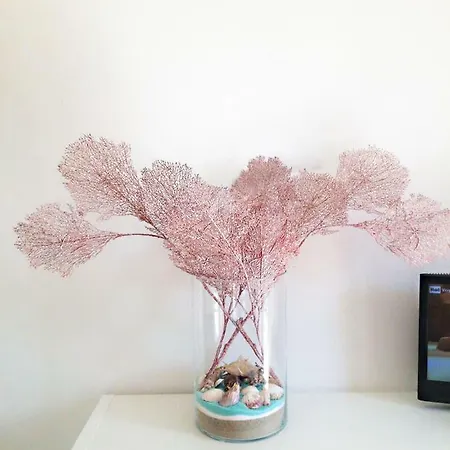 Apartmán Elisabetta Pula